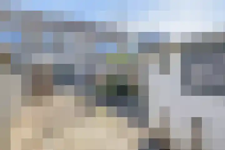 Deel 16 Brielle thumbnail 32