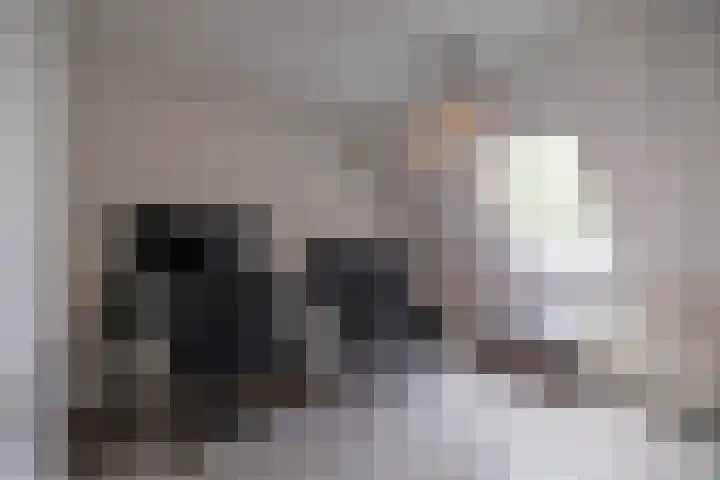 Deelheugte 19 Assen thumbnail 24