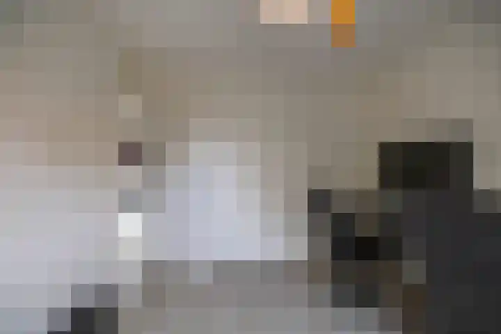 Deelheugte 19 Assen thumbnail 26