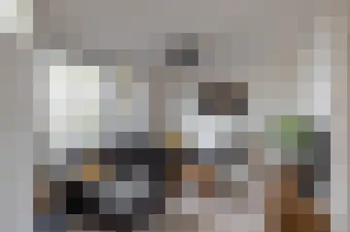 Deelheugte 19 Assen thumbnail 5
