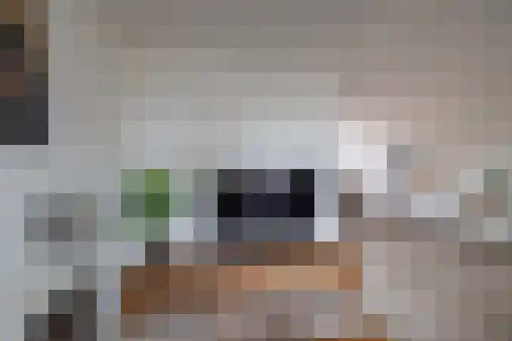 Deelheugte 19 Assen thumbnail 6