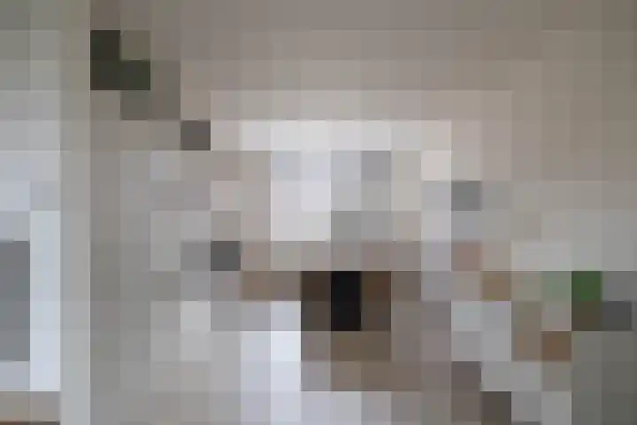 Deelheugte 19 Assen thumbnail 7