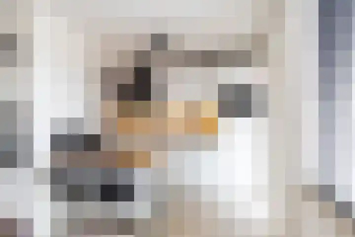 Deelheugte 19 Assen thumbnail 9