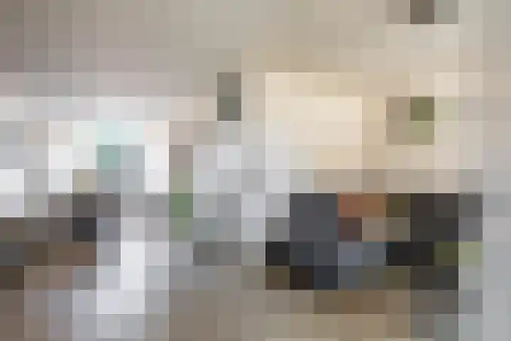 Deelheugte 42 Assen thumbnail 13