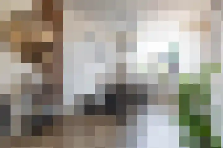 Deelheugte 42 Assen thumbnail 16