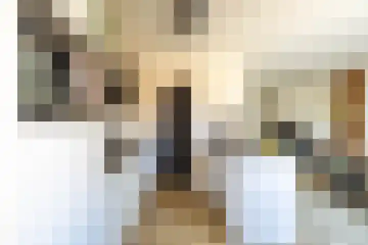 Deelheugte 42 Assen thumbnail 23