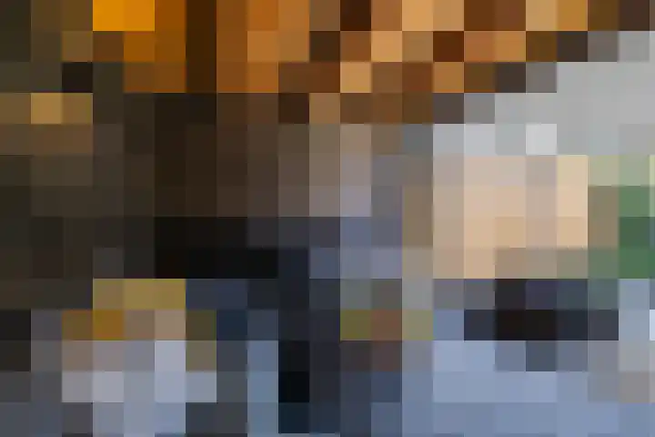 Deelheugte 42 Assen thumbnail 38