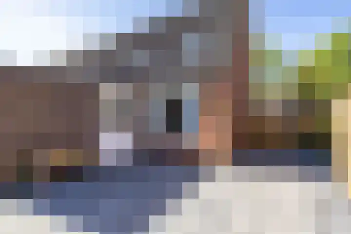 Deelheugte 42 Assen thumbnail 42