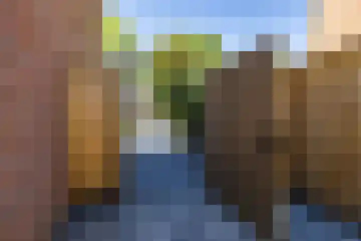 Deelheugte 42 Assen thumbnail 44