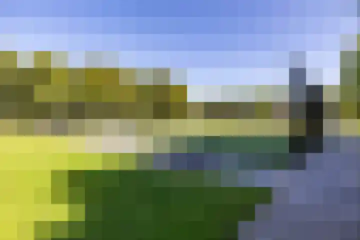 Deelheugte 42 Assen thumbnail 67