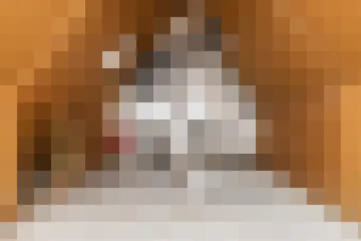 Deelheugte 76 Assen thumbnail 14