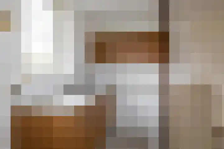 Deelheugte 76 Assen thumbnail 8