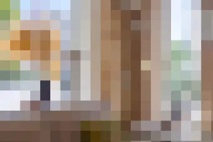 Deellaan 50 Bemmel thumbnail 12