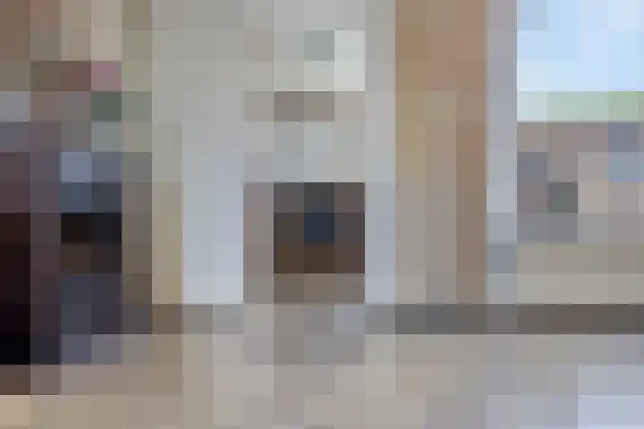 Deellaan 50 Bemmel thumbnail 17