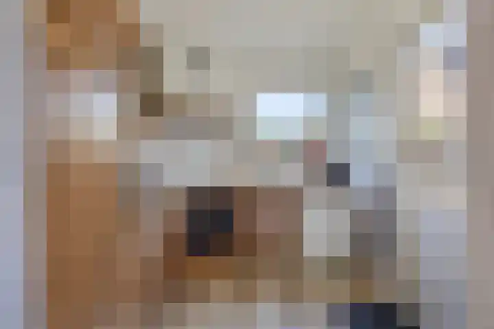 Deellaan 50 Bemmel thumbnail 19