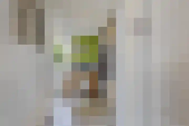 Deellaan 50 Bemmel thumbnail 23