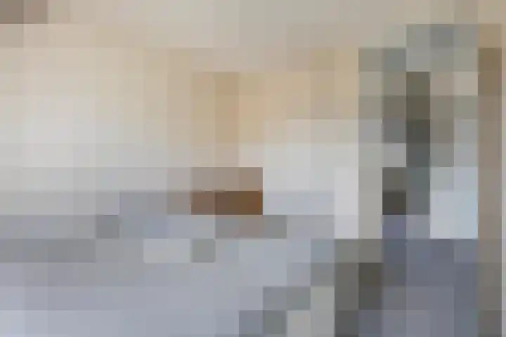 Deellaan 50 Bemmel thumbnail 29