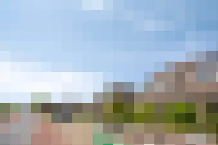 Deellaan 50 Bemmel thumbnail 4