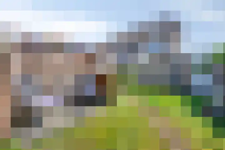 Deellaan 50 Bemmel thumbnail 48