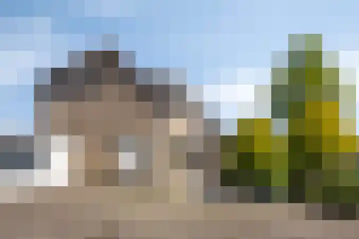 Deellaan 50 Bemmel thumbnail 6
