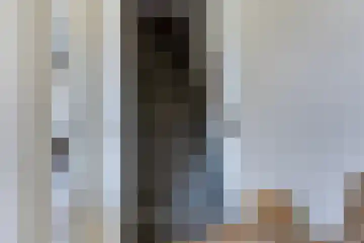 Deellaan 50 Bemmel thumbnail 7