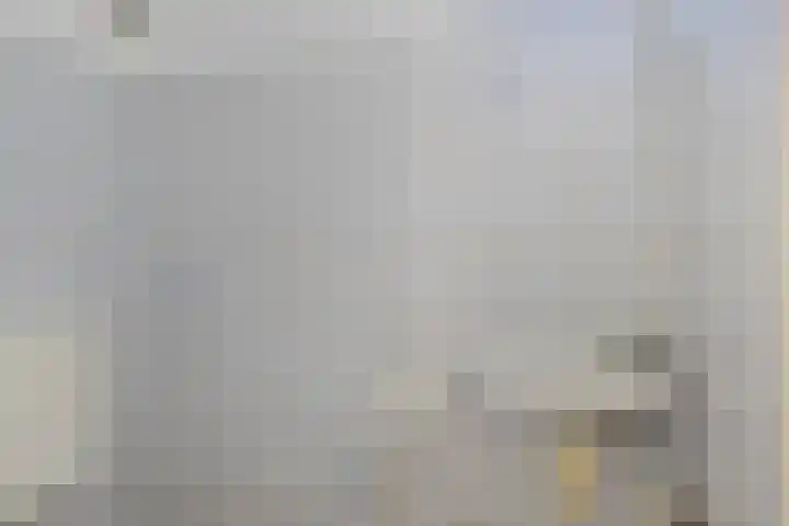 Deellaan 50 Bemmel thumbnail 8