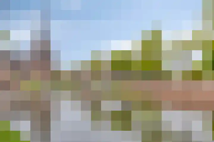 Defensie-eiland 4 Woerden thumbnail 61