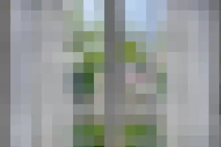 Defensie-eiland 4 Woerden thumbnail 7