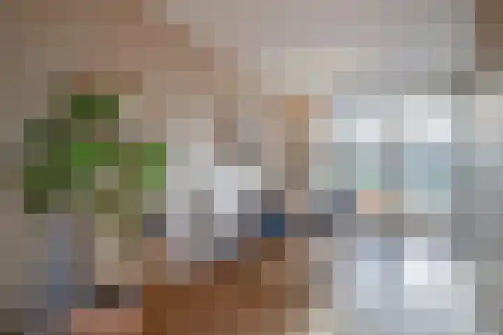 Deiffelen 17 's-Hertogenbosch thumbnail 12