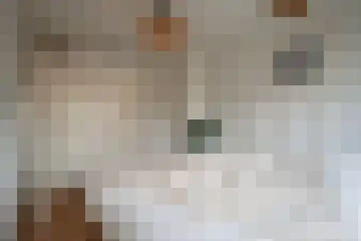 Deiffelen 17 's-Hertogenbosch thumbnail 22