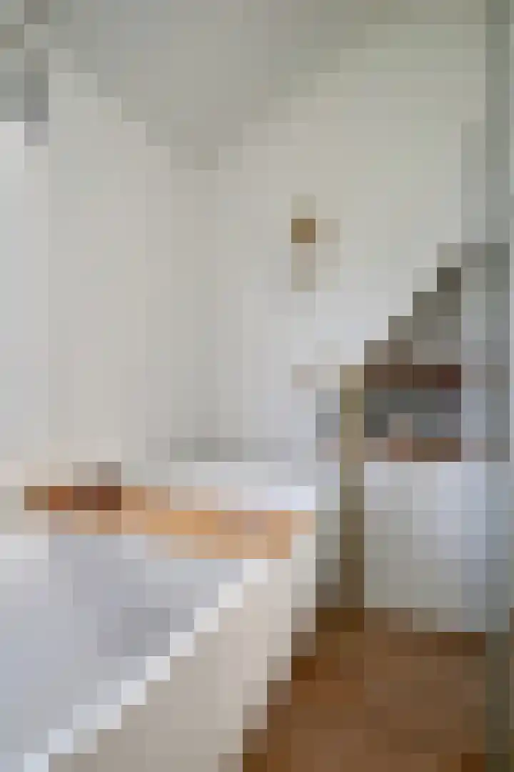 Deiffelen 17 's-Hertogenbosch thumbnail 26