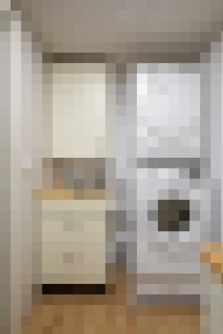 Deiffelen 17 's-Hertogenbosch thumbnail 35