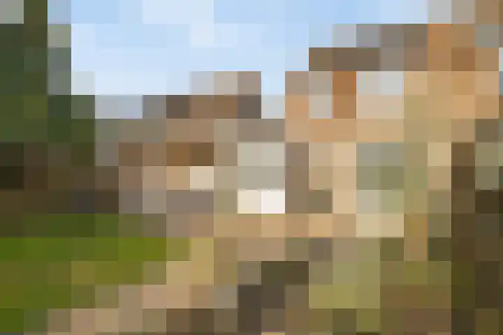 Deiffelen 17 's-Hertogenbosch thumbnail 37