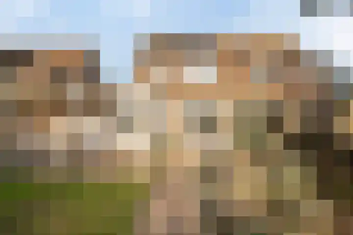 Deiffelen 17 's-Hertogenbosch thumbnail 38
