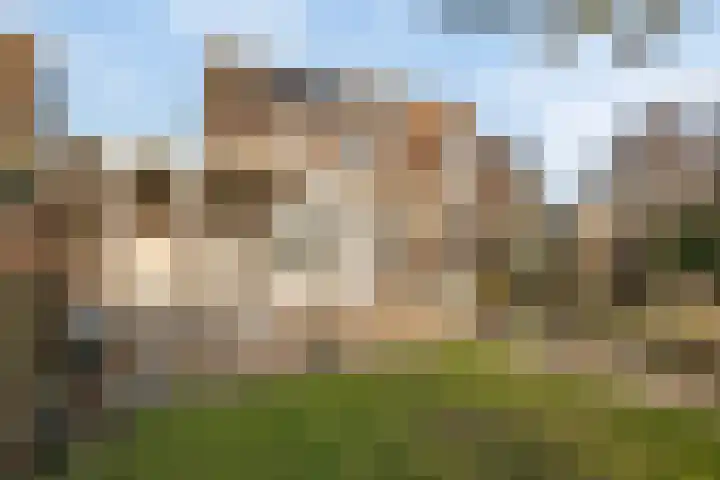 Deiffelen 17 's-Hertogenbosch thumbnail 39
