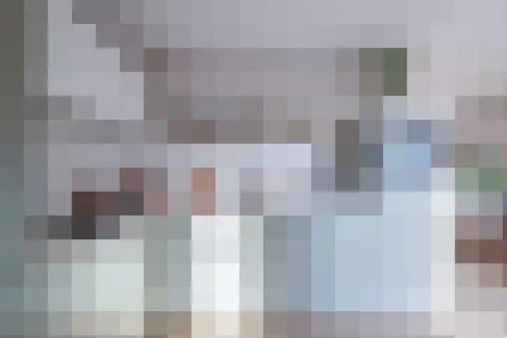 Deiffelen 17 's-Hertogenbosch thumbnail 4