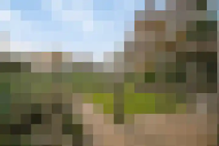 Deiffelen 17 's-Hertogenbosch thumbnail 41