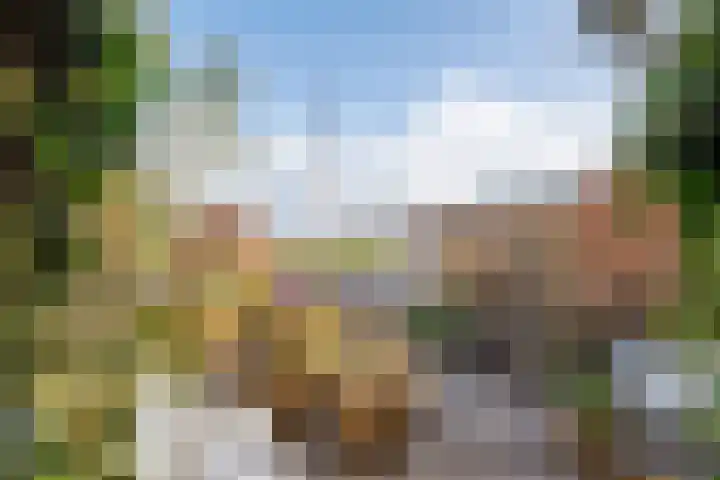 Deilsedijk 4 Deil thumbnail 10