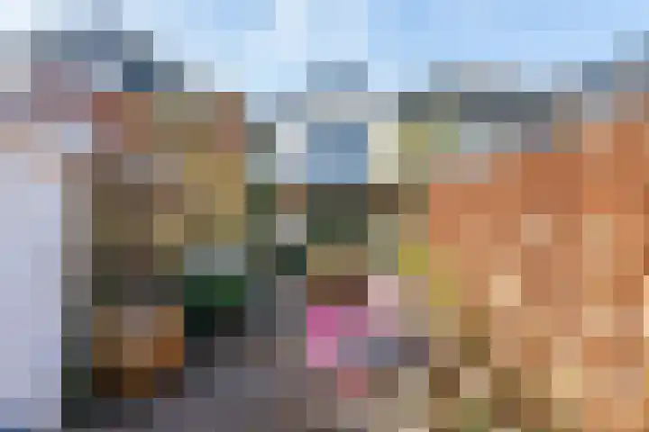 Deilsedijk 4 Deil thumbnail 11
