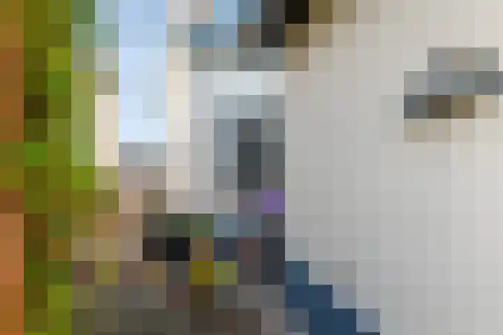 Deilsedijk 4 Deil thumbnail 12