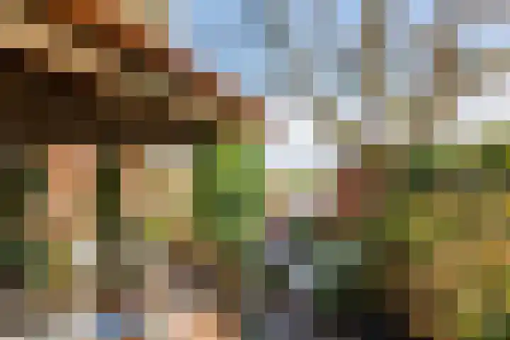 Deilsedijk 4 Deil thumbnail 13