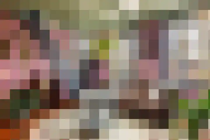 Deilsedijk 4 Deil thumbnail 31