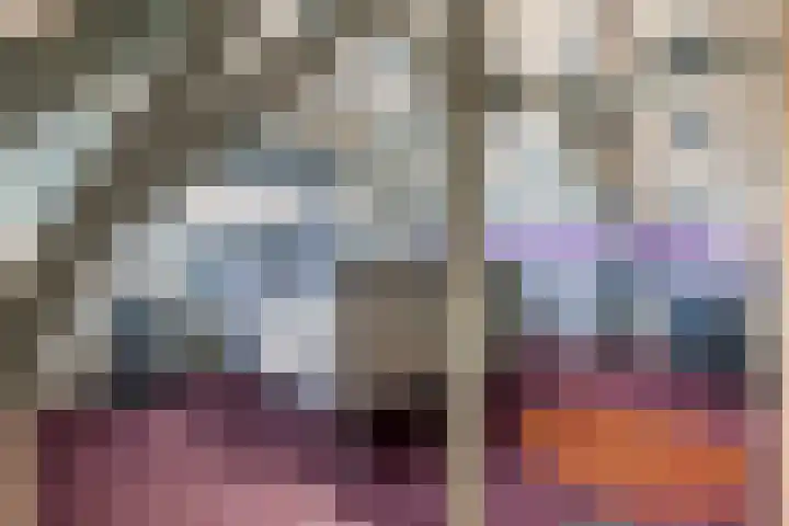 Deilsedijk 4 Deil thumbnail 37