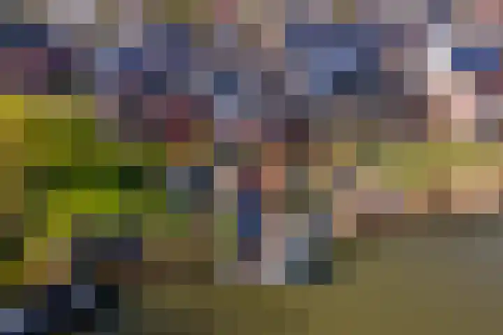 Deilsedijk 4 Deil thumbnail 4