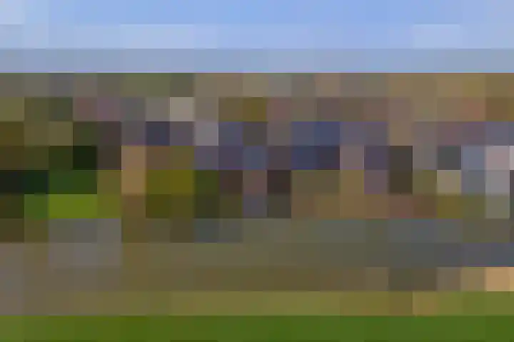 Deilsedijk 4 Deil thumbnail 40