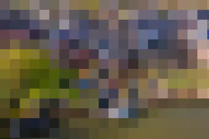 Deilsedijk 4 Deil thumbnail 41