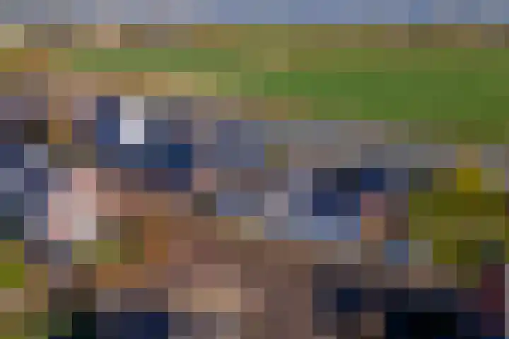 Deilsedijk 4 Deil thumbnail 43