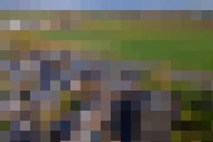 Deilsedijk 4 Deil thumbnail 44