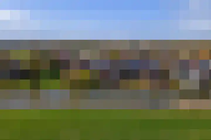 Deilsedijk 4 Deil thumbnail 45