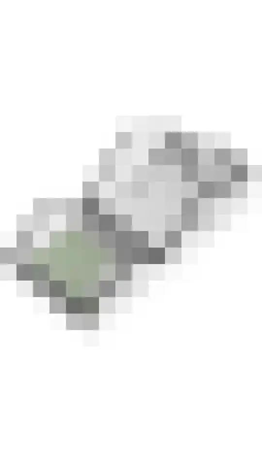 Deilsedijk 4 Deil thumbnail 49
